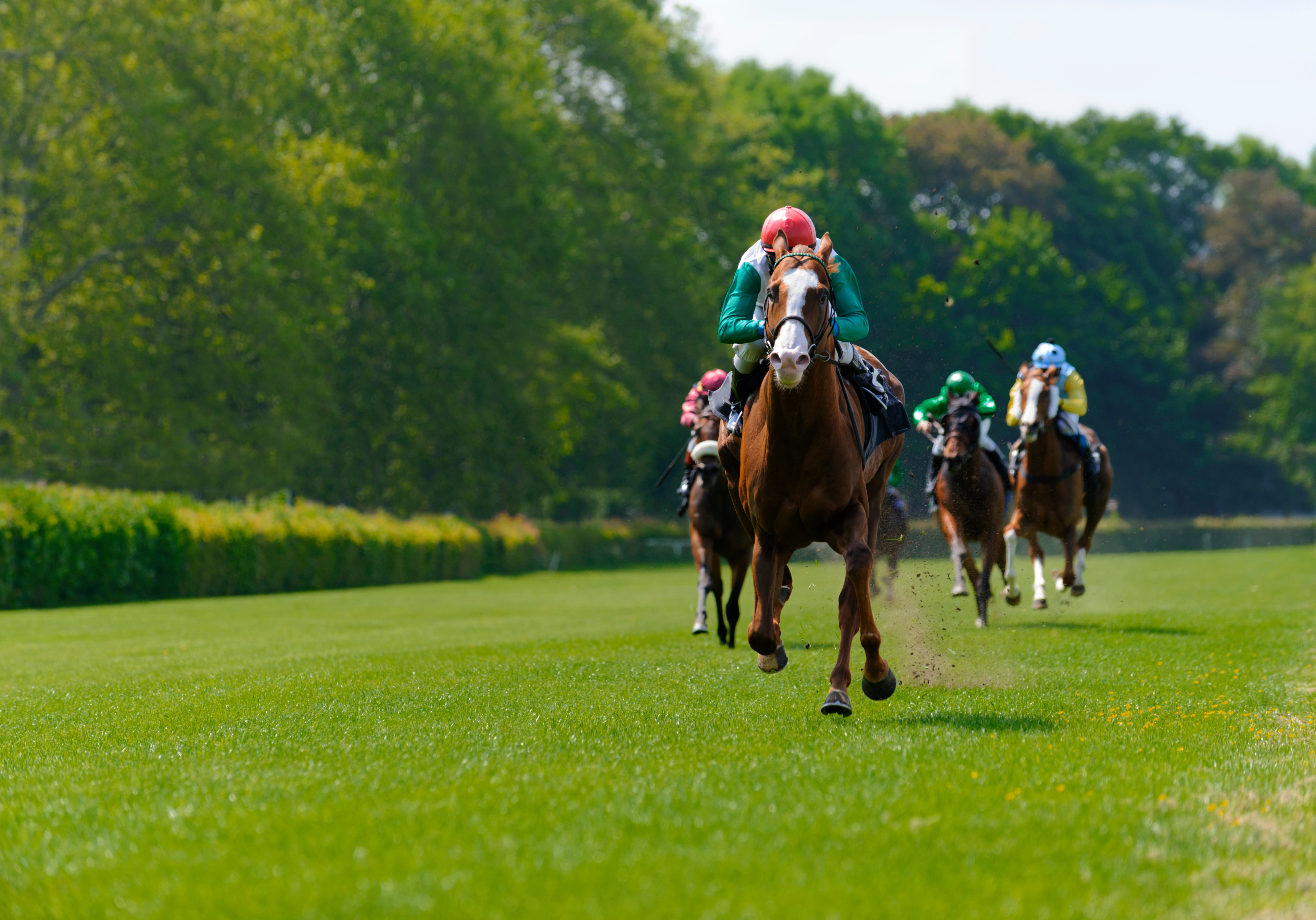Bloodstock and equine insurance
